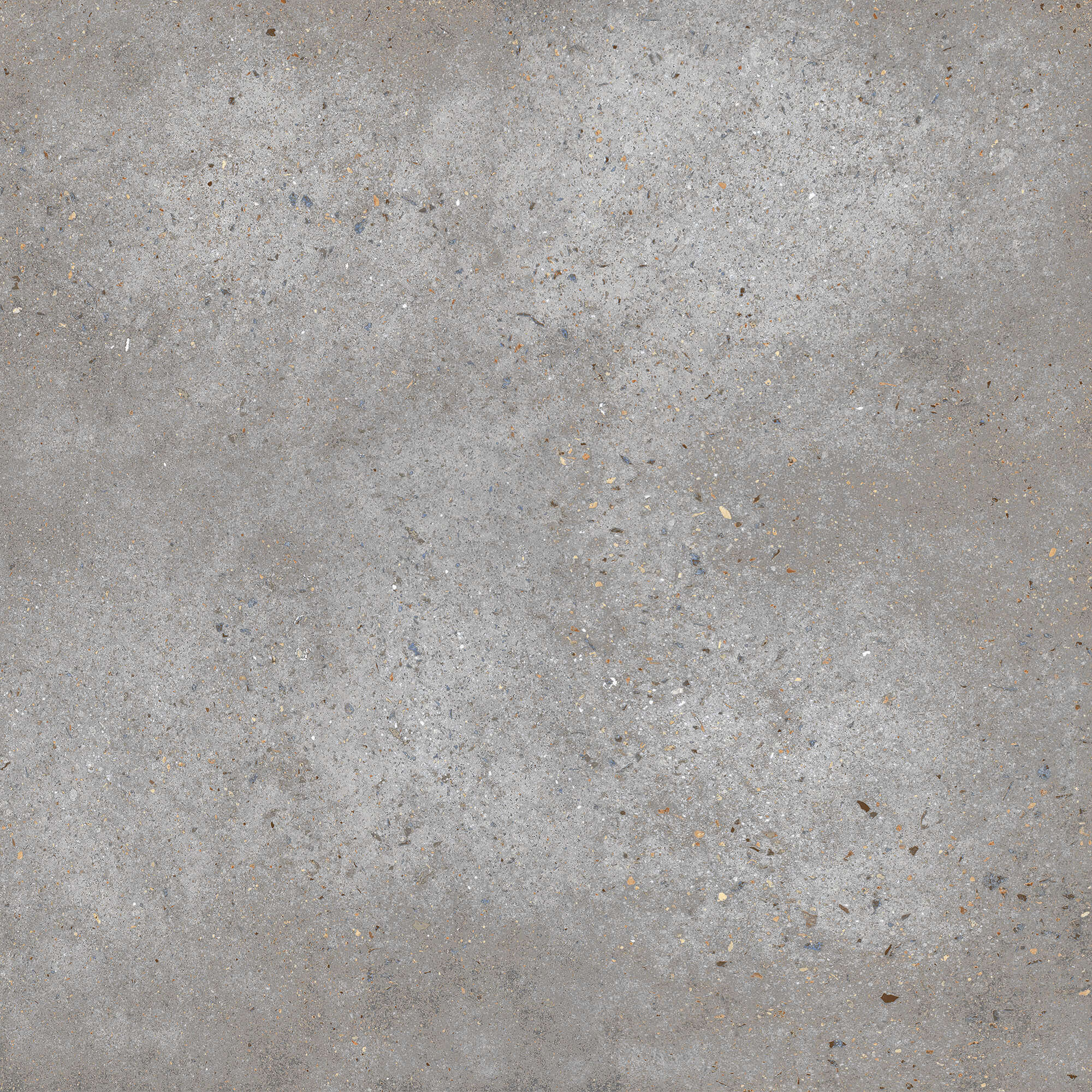 Pacific Ash External 300x600mm Online Tile