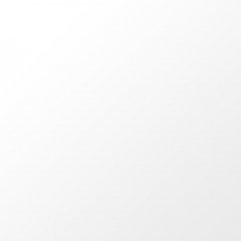 Close-up of Dualtech Lines 300x600mm Gloss tile showing the crisp rectified edge and reflective surface.